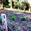 Beautiful lot within walking distance of Playa Maderas