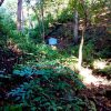 Beautiful lot within walking distance of Playa Maderas