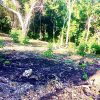 Beautiful lot within walking distance of Playa Maderas