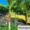 Panoramic Ocean View Pacific Marlin San Juan del Sur