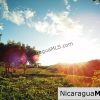 Villa Azul 2 Bedroom House for Rent at Palermo