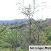 Rancho Papayal Lot 38