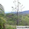 Rancho Papayal Lot 38