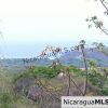 Rancho Papayal Lot 38