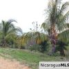 Rancho Papayal Lot 38