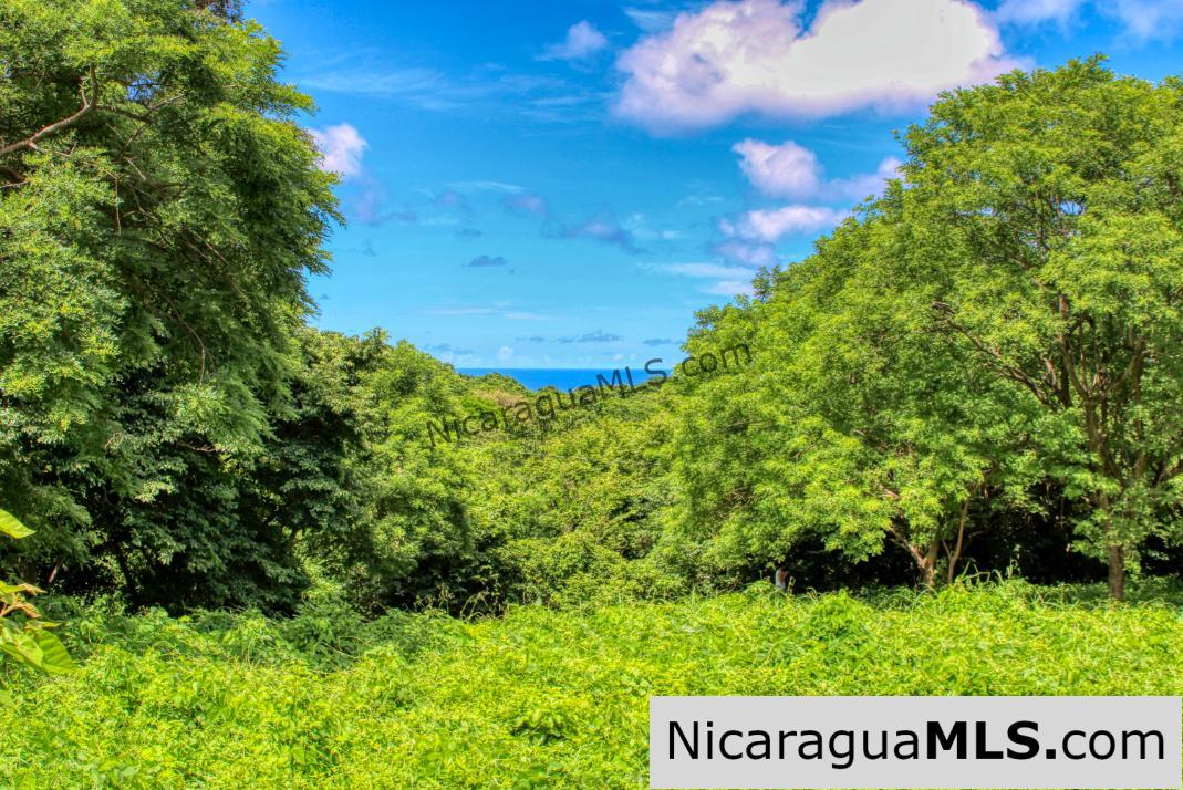 Rancho Papayal 1.2 acres Peaceful Ocean and Forest Views