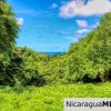 Rancho Papayal Lot 74 Beautiful Ocean and Forest Views
