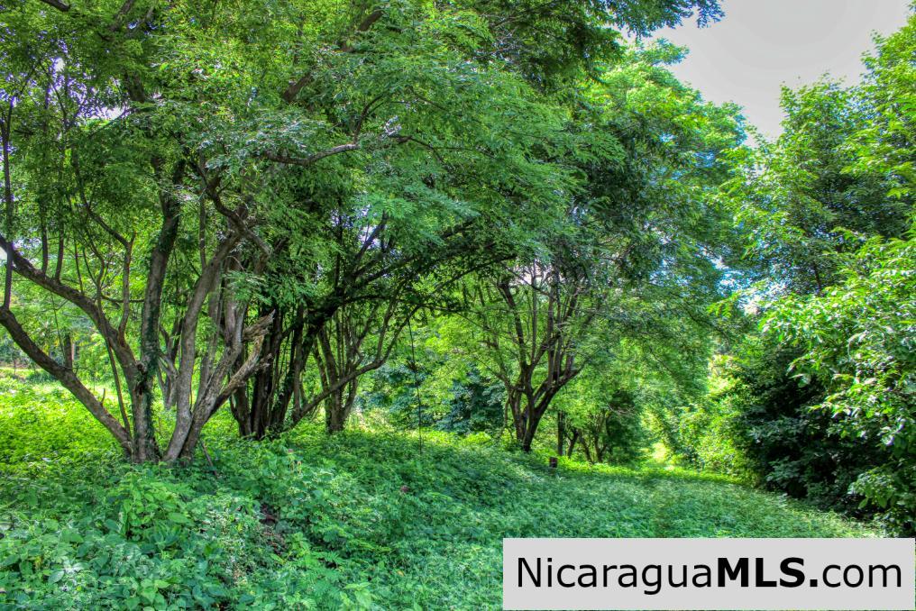 Rancho Papayal 1.2 acres Peaceful Ocean and Forest Views