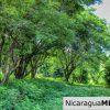 Rancho Papayal Lot 74 Beautiful Ocean and Forest Views