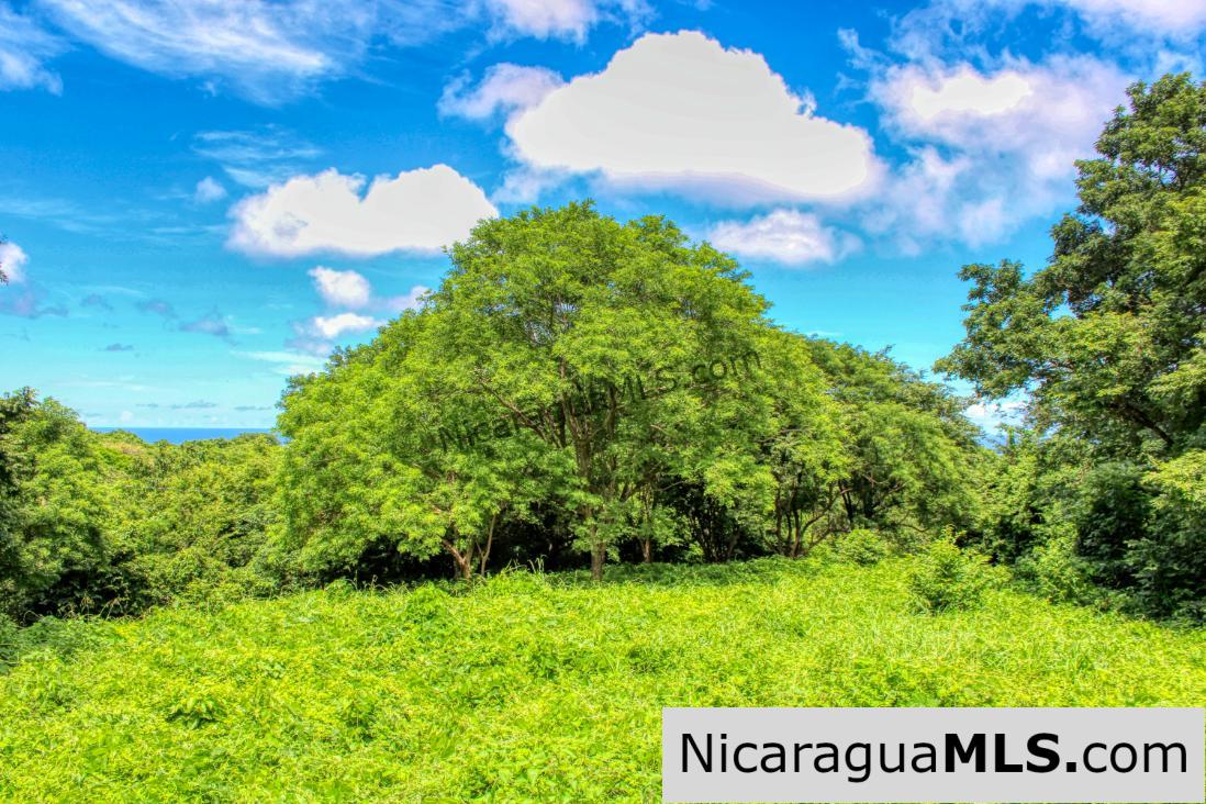 Rancho Papayal 1.2 acres Peaceful Ocean and Forest Views