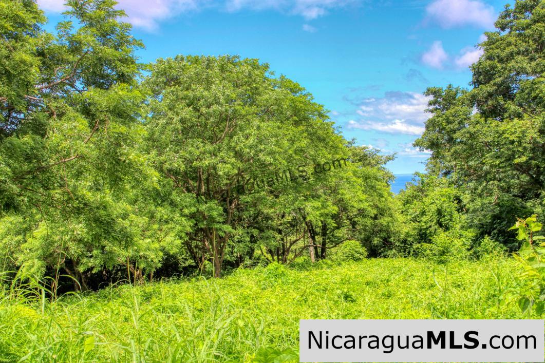 Rancho Papayal 1.2 acres Peaceful Ocean and Forest Views