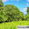 Rancho Papayal Lot 74 Beautiful Ocean and Forest Views