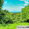 Rancho Papayal Lot 74 Beautiful Ocean and Forest Views