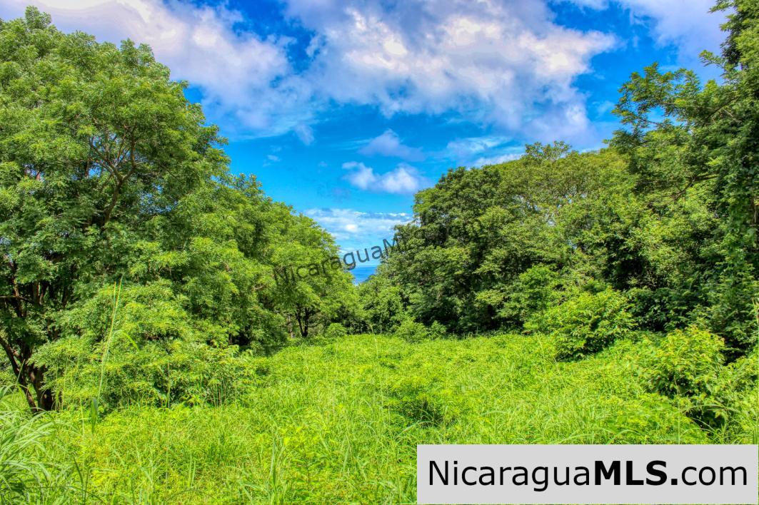 Rancho Papayal 1.2 acres Peaceful Ocean and Forest Views