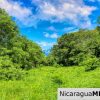 Rancho Papayal Lot 74 Beautiful Ocean and Forest Views