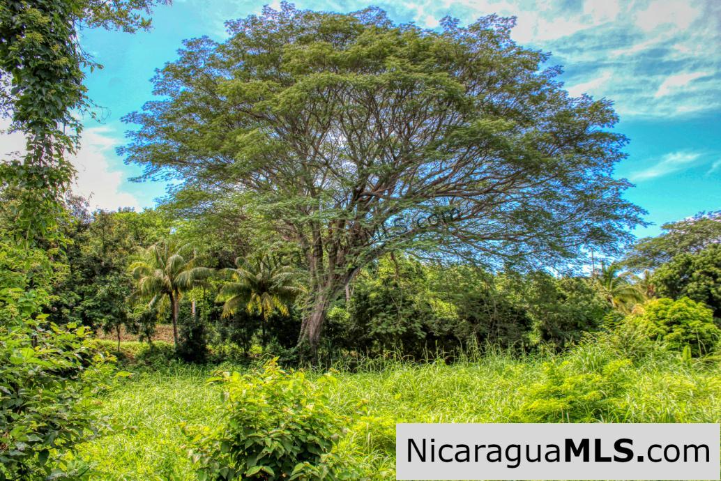 Rancho Papayal Lot 74 Beautiful Ocean and Forest Views