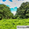 Rancho Papayal Lot 74 Beautiful Ocean and Forest Views