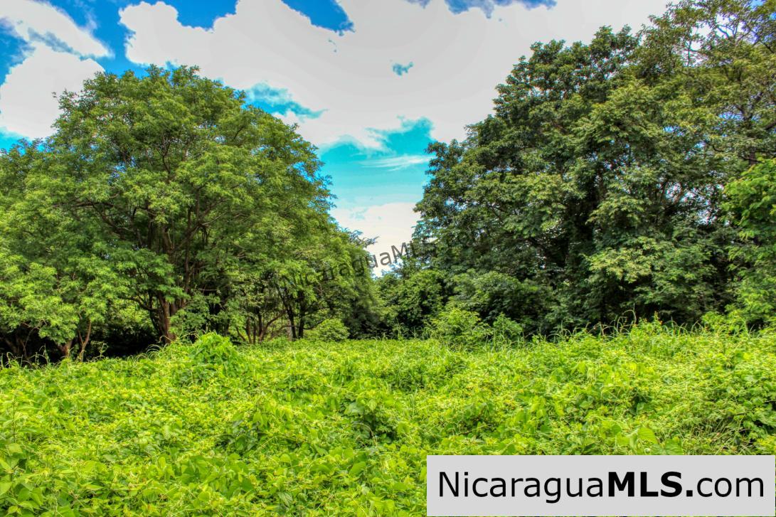 Rancho Papayal Lot 74 Beautiful Ocean and Forest Views