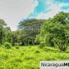 Rancho Papayal Lot 74 Beautiful Ocean and Forest Views