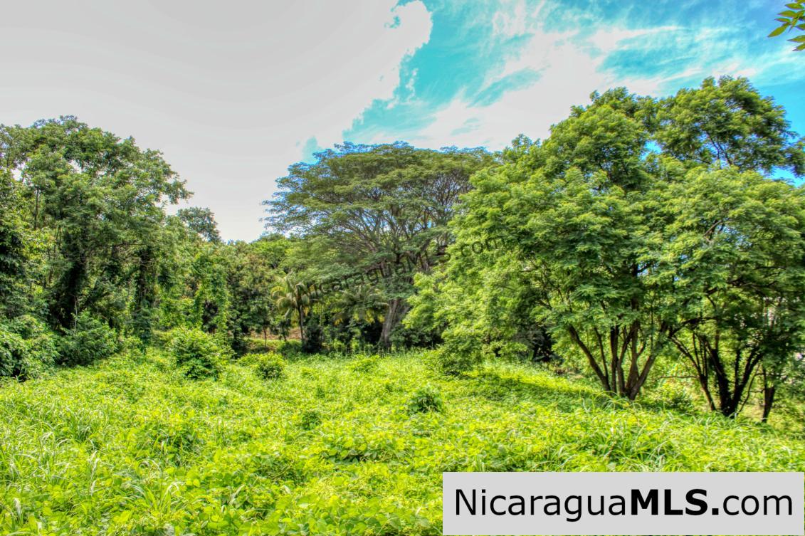 Rancho Papayal Lot 74 Beautiful Ocean and Forest Views