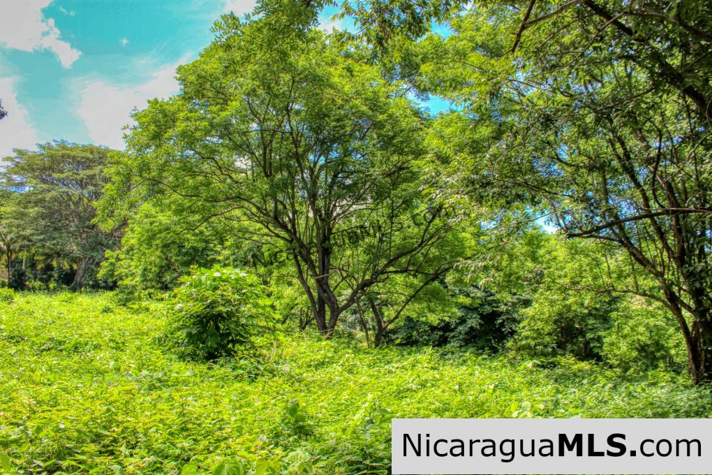 Rancho Papayal Lot 74 Beautiful Ocean and Forest Views