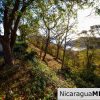 Paradise Bay Dual Lots for Sale