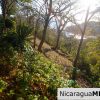 Paradise Bay Dual Lots for Sale