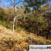 Paradise Bay Dual Lots for Sale