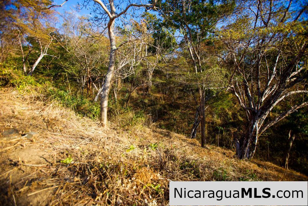 Paradise Bay Dual Lots for Sale