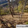 Paradise Bay Dual Lots for Sale
