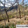 Paradise Bay Dual Lots for Sale