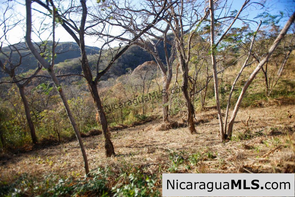 Paradise Bay Dual Lots for Sale