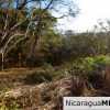Paradise Bay Dual Lots for Sale