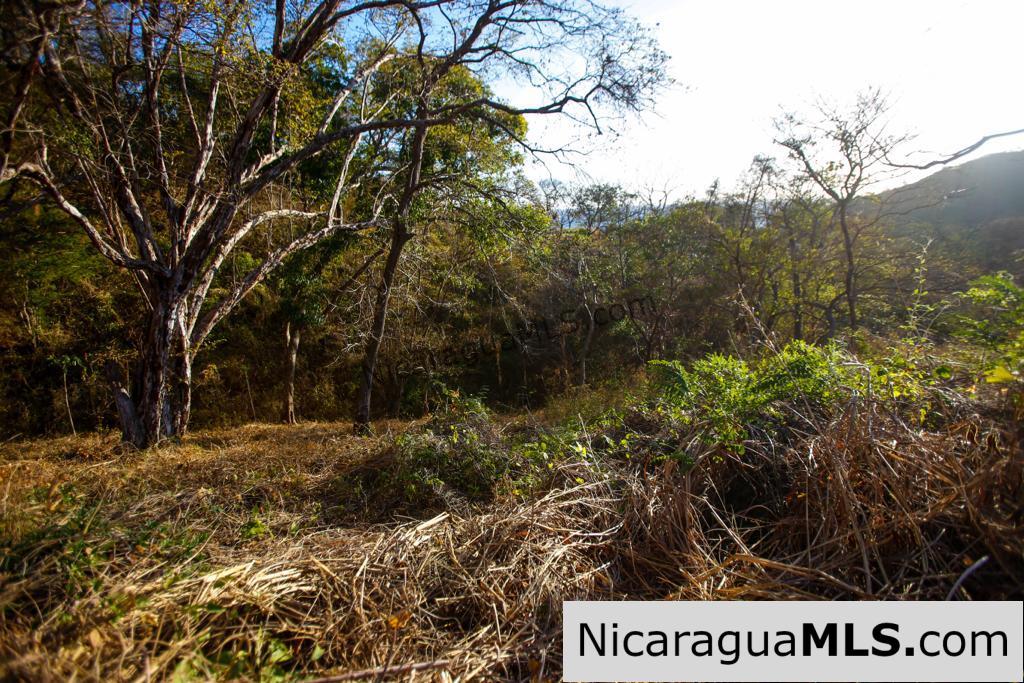 Paradise Bay Dual Lots for Sale