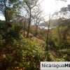 Paradise Bay Dual Lots for Sale