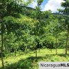 Off Grid Tranquil Paradise Only 20 Minutes North of San Juan del Sur