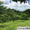 Off Grid Tranquil Paradise Only 20 Minutes North of San Juan del Sur