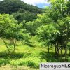 Off Grid Tranquil Paradise Only 20 Minutes North of San Juan del Sur