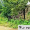 Remanso Hills View Properties