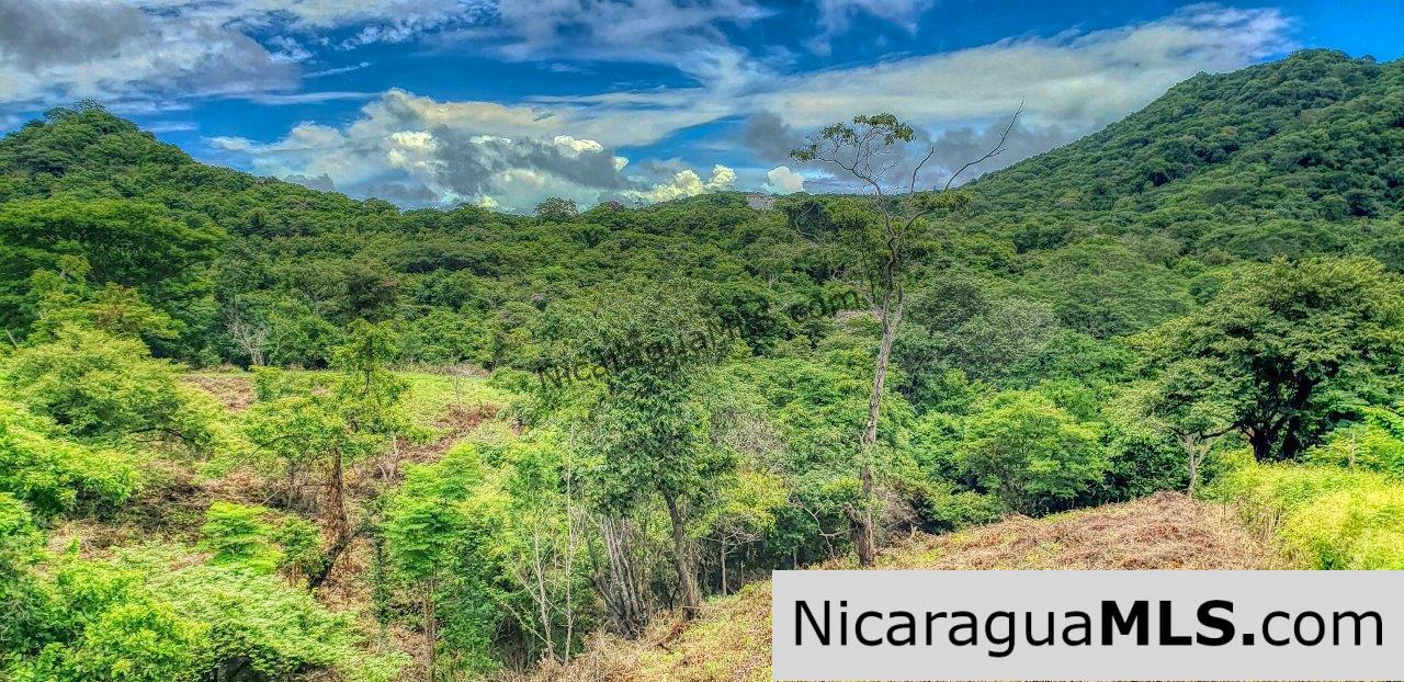 Remanso Hills View Properties