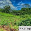 Remanso Hills View Properties