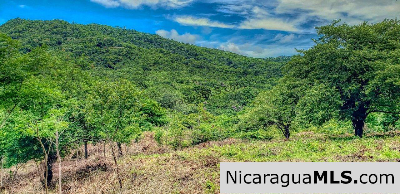 Remanso Hills View Properties