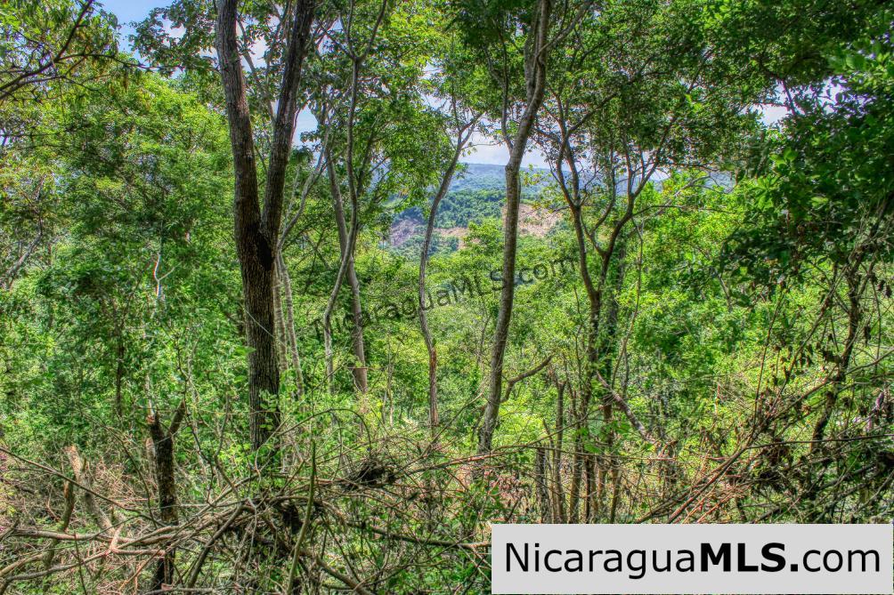 Remanso Hills Forested Views