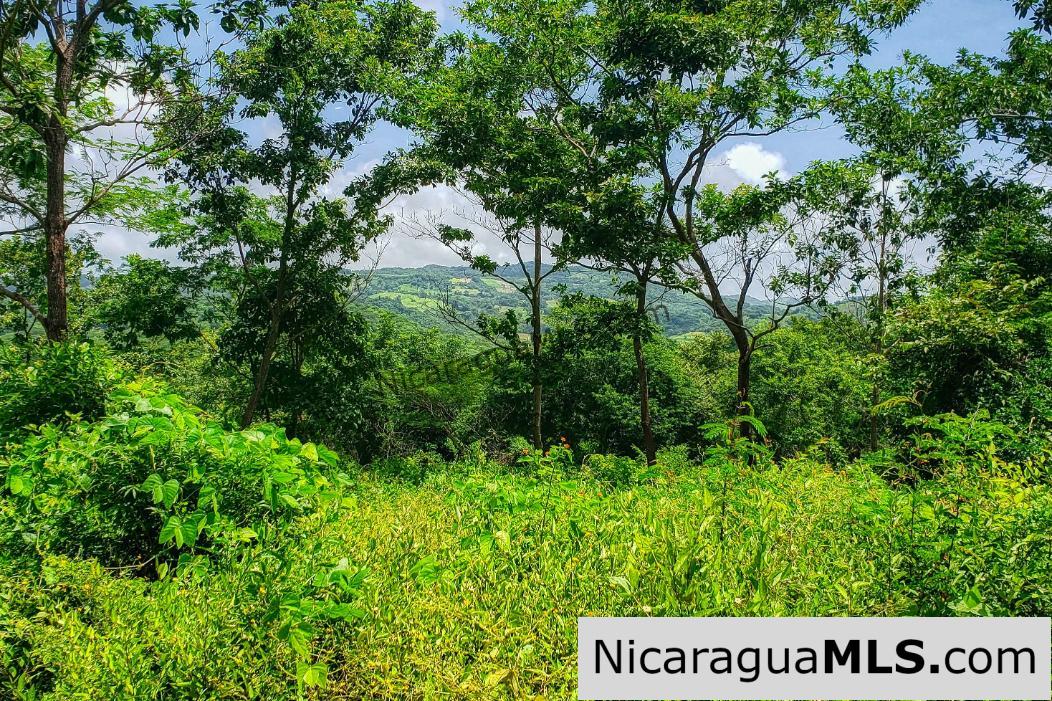 Remanso Hills Forested Views