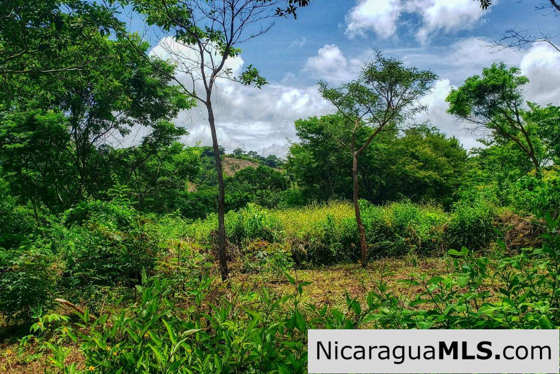 Remanso Hills Forested Views