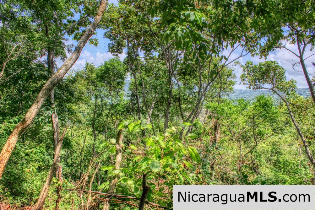 Remanso Hills Forested Views