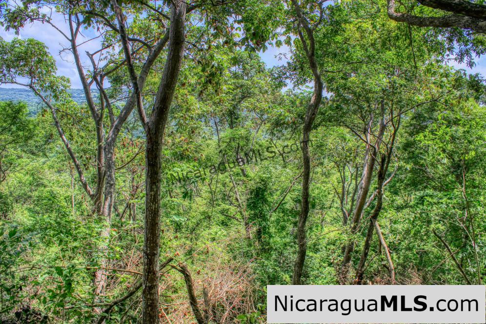 Remanso Hills Forested Views