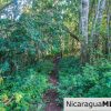50 Acres with Stunning Views of San Juan del Sur