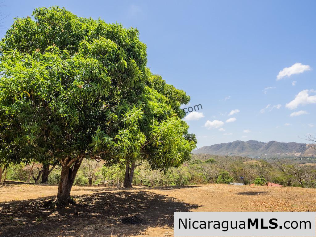 Vista del Oro Ocean View Lots for Sale in El Oro