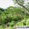 7 Acre View Homesite Minutes to San Juan del Sur Town